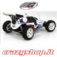 FG Marder 2WD Off-Road Buggy RTR